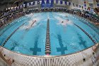 Swimming & Diving vs RWU  Swimming & Diving vs Roger Williams University. - Photo by Keith Nordstrom : Wheaton, Swimming